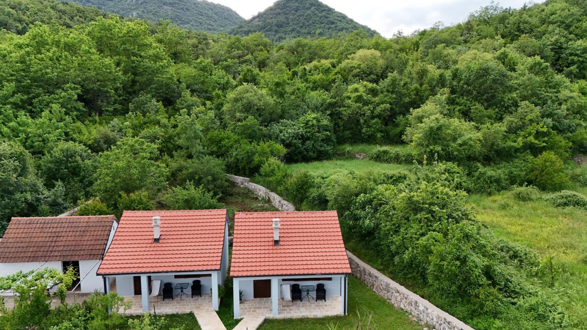 Rijeka Crnojevića Rustic Village House 4 المظهر الخارجي الصورة